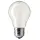 Opal lamp 230 V / 150 Watt - (lamp holder E27)