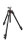 Manfrotto | 055 Carbon Stativ QPL 3 Segmente | MT055CXPRO3