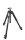 Manfrotto | 055XPRO3-BHQ2 Stativ inkl. Kugelkopf | MK055XPRO3-BHQ2