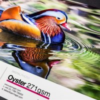 PermaJet Oyster 271, DIN A3, 50 Blatt
