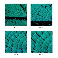 LAOWA Aurogon FF 10-50x Supermicro APO