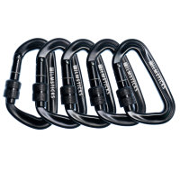 Filmsticks | Locking Karabiner 5 Stück schwarz