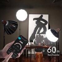Tolifo | PL-60B PALM LED