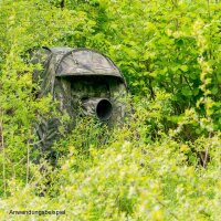 Buteo Photo Gear Buteo Mark III grün, Tarnzelt mittel