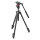 Manfrotto | 290 Light Alu-Stativ m. Befree Fluid Videokopf, 3 Segmente | MK290LTA3-V