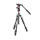 Manfrotto | Befree Live Alu Stativ QLP mit Videokopf | MVKBFRL-LIVE