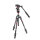 Manfrotto | Befree Live Kit Twist Carbon mit Fluid-Videokopf | MVKBFRTC-LIVE