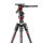 Manfrotto | Befree Live Kit Twist Carbon mit Fluid-Videokopf | MVKBFRTC-LIVE