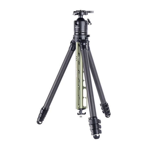 AOKA TS-254C Carbonstativ + DH-45 Kugelkopf, grün
