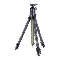AOKA TS-254C Carbonstativ + DH-45 Kugelkopf, grün